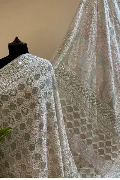 HANDWOVEN HANDCRAFTED FULL JAL CHIKANKARI SARI IN EKTAAR EMBROIDERY